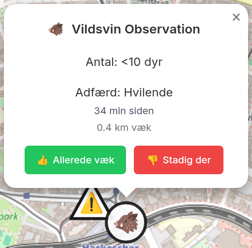 Popup med observationsdetaljer