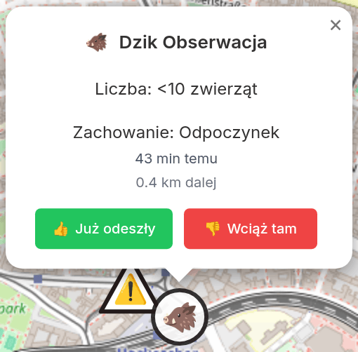 Popup ze szczegółami obserwacji