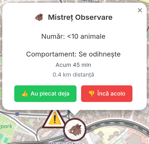Pop-up cu detalii observare