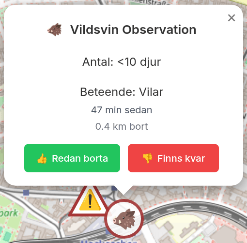 Popup med observationsdetaljer