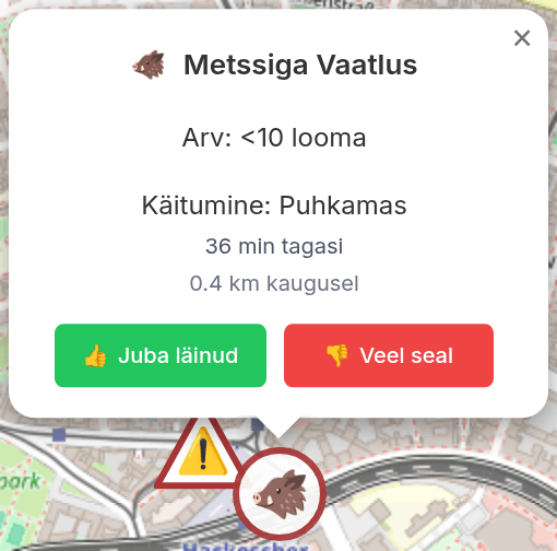 Hüpikaken vaatluse üksikasjadega