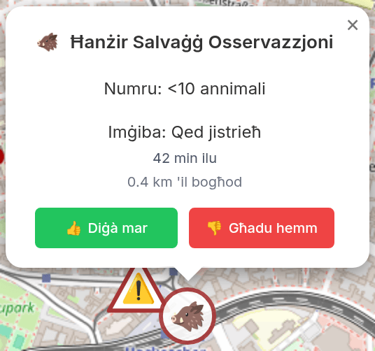 Popup bid-dettalji tal-osservazzjoni