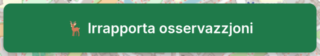 Buttuna tar-rapport tal-osservazzjoni